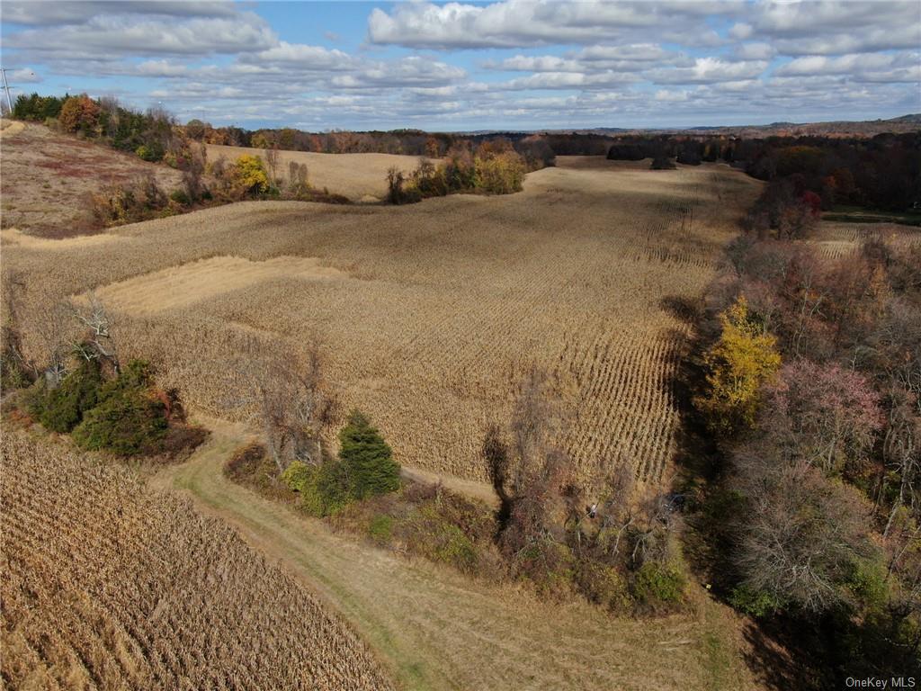 352 352 Schneider Road Hudson, NY 12541 - Photo 11 of 25 Aerial view featuring a rural view