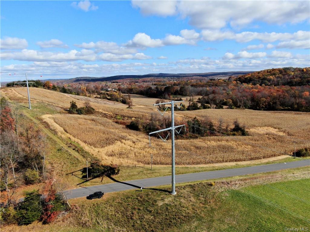 352 352 Schneider Road Hudson, NY 12541 - Photo 15 of 25 Aerial view with a rural view