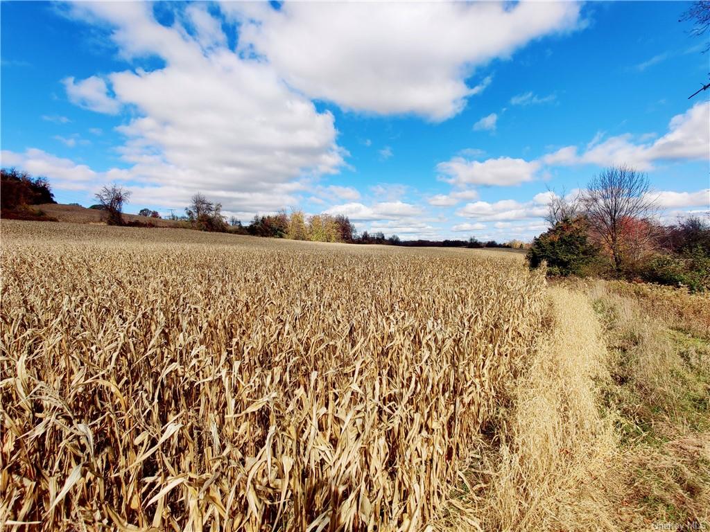 352 352 Schneider Road Hudson, NY 12541 - Photo 16 of 25 View of local wilderness featuring a rural view