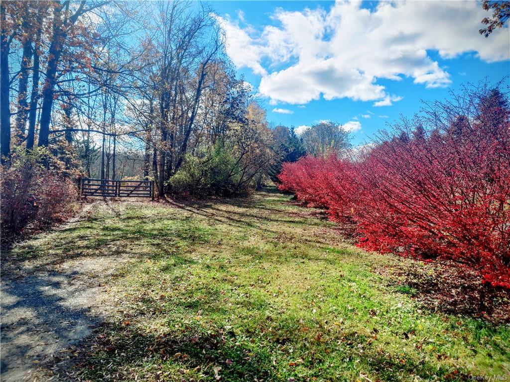 352 352 Schneider Road Hudson, NY 12541 - Photo 18 of 25 View of yard