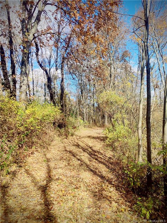 352 352 Schneider Road Hudson, NY 12541 - Photo 20 of 25 View of nature