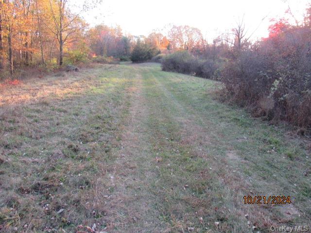 352 352 Schneider Road Hudson, NY 12541 - Photo 2 of 25 View of street