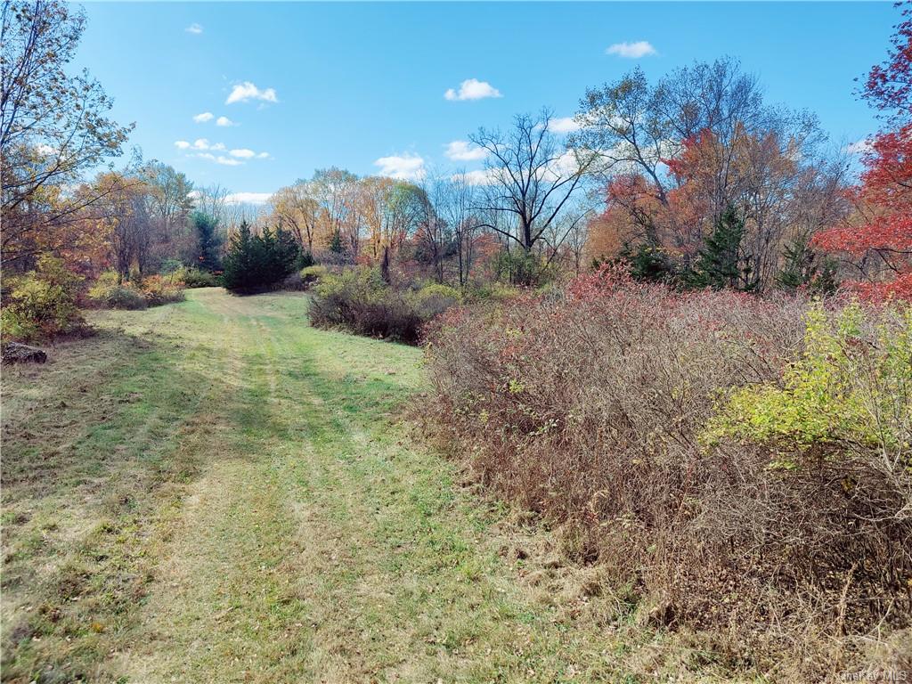 352 352 Schneider Road Hudson, NY 12541 - Photo 22 of 25 View of yard