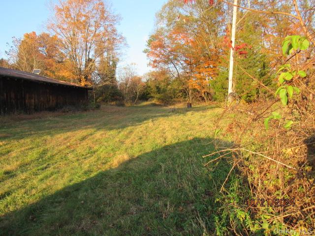 352 352 Schneider Road Hudson, NY 12541 - Photo 4 of 25 View of yard