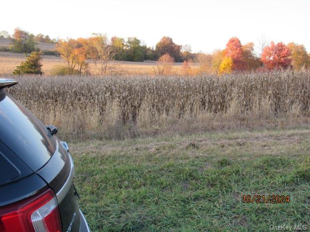352 352 Schneider Road Hudson, NY 12541 - Photo 7 of 25 View of yard featuring a rural view