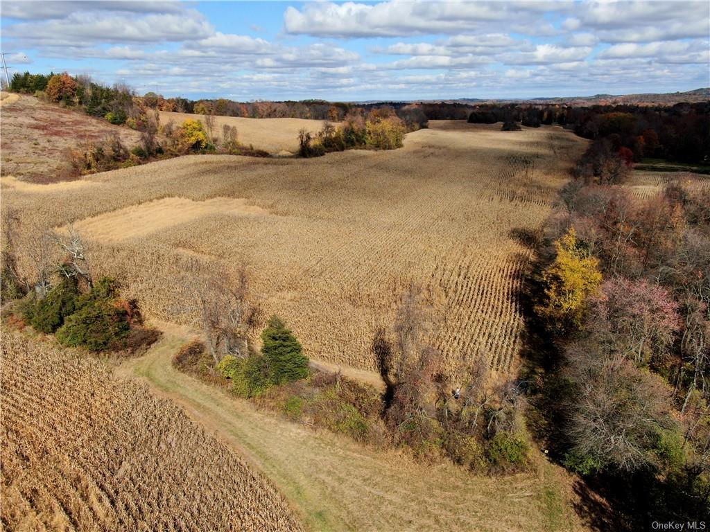 352 352 Schneider Road Hudson, NY 12541 - Photo 8 of 25 Drone / aerial view featuring a rural view