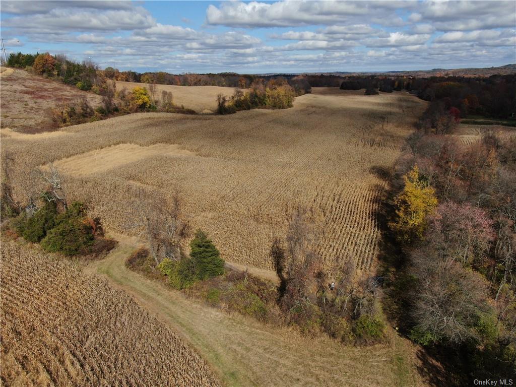 352 352 Schneider Road Hudson, NY 12541 - Photo 10 of 25 Birds eye view of property with a rural view
