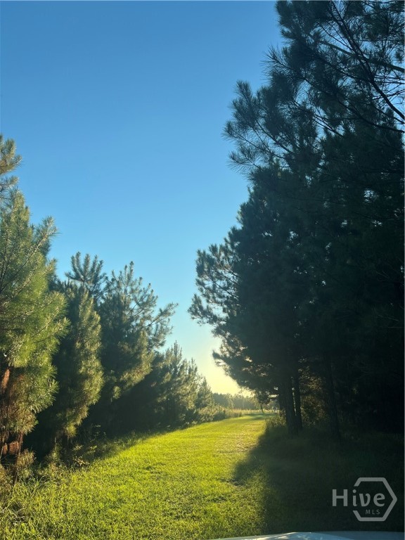 552 Sherrod Road Brooklet, GA 30415 - Photo 27 of 28