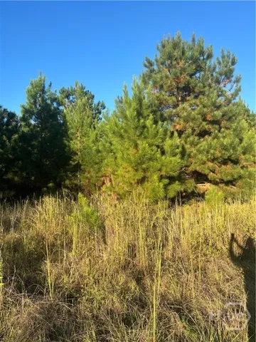 $299,000 | 552 Sherrod Road, Brooklet, GA 30415