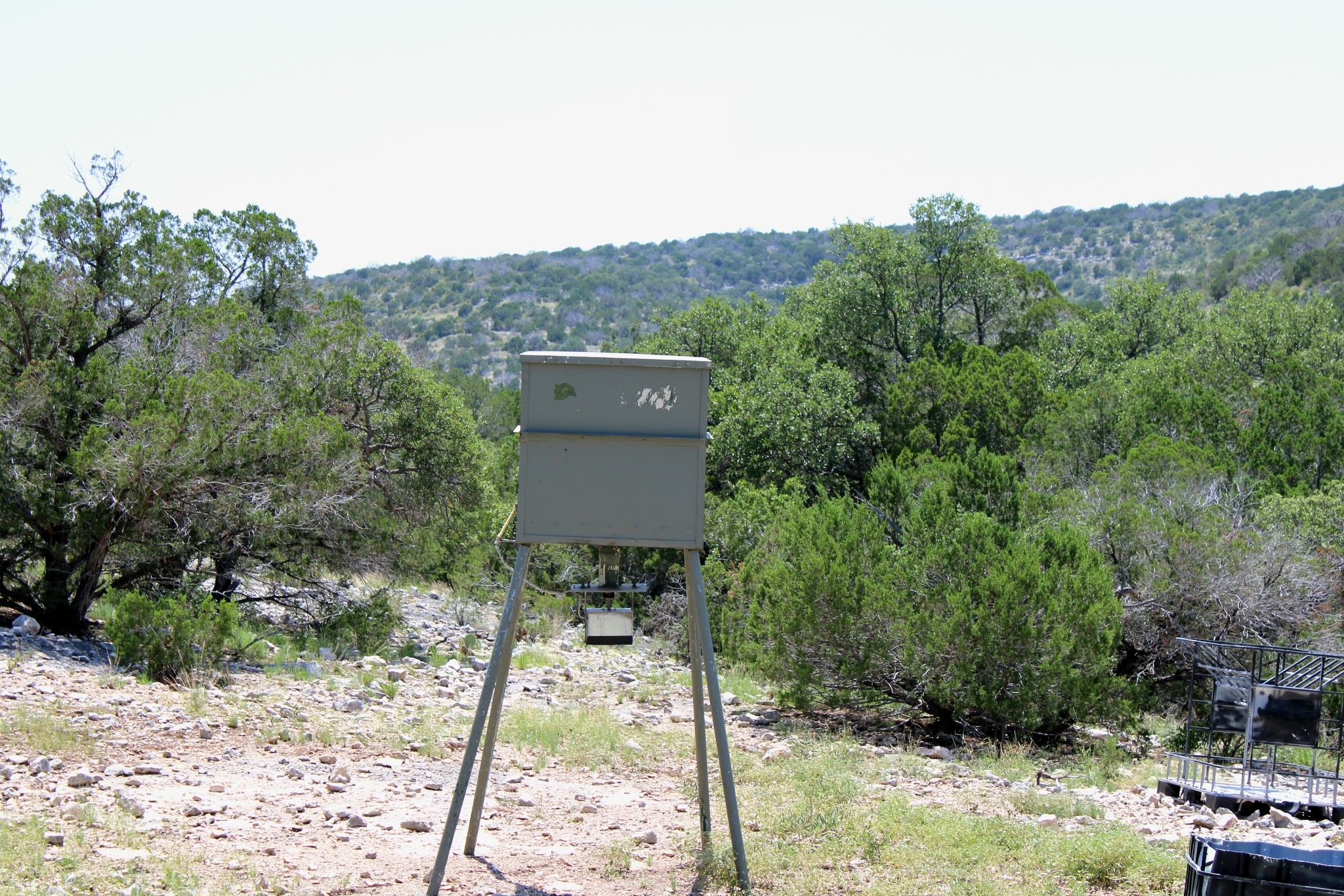 2519 Widmark Road Comstock, TX 78837 - Photo 41 of 48