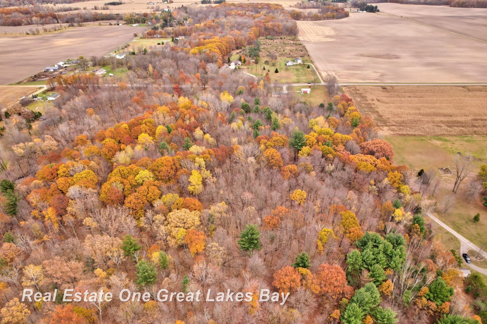 10210 South Brennan Road Brant, MI 48614 - Photo 60 of 62 50193605-190e7f25-a289-48ea-89d1-242383a8d946.JPG