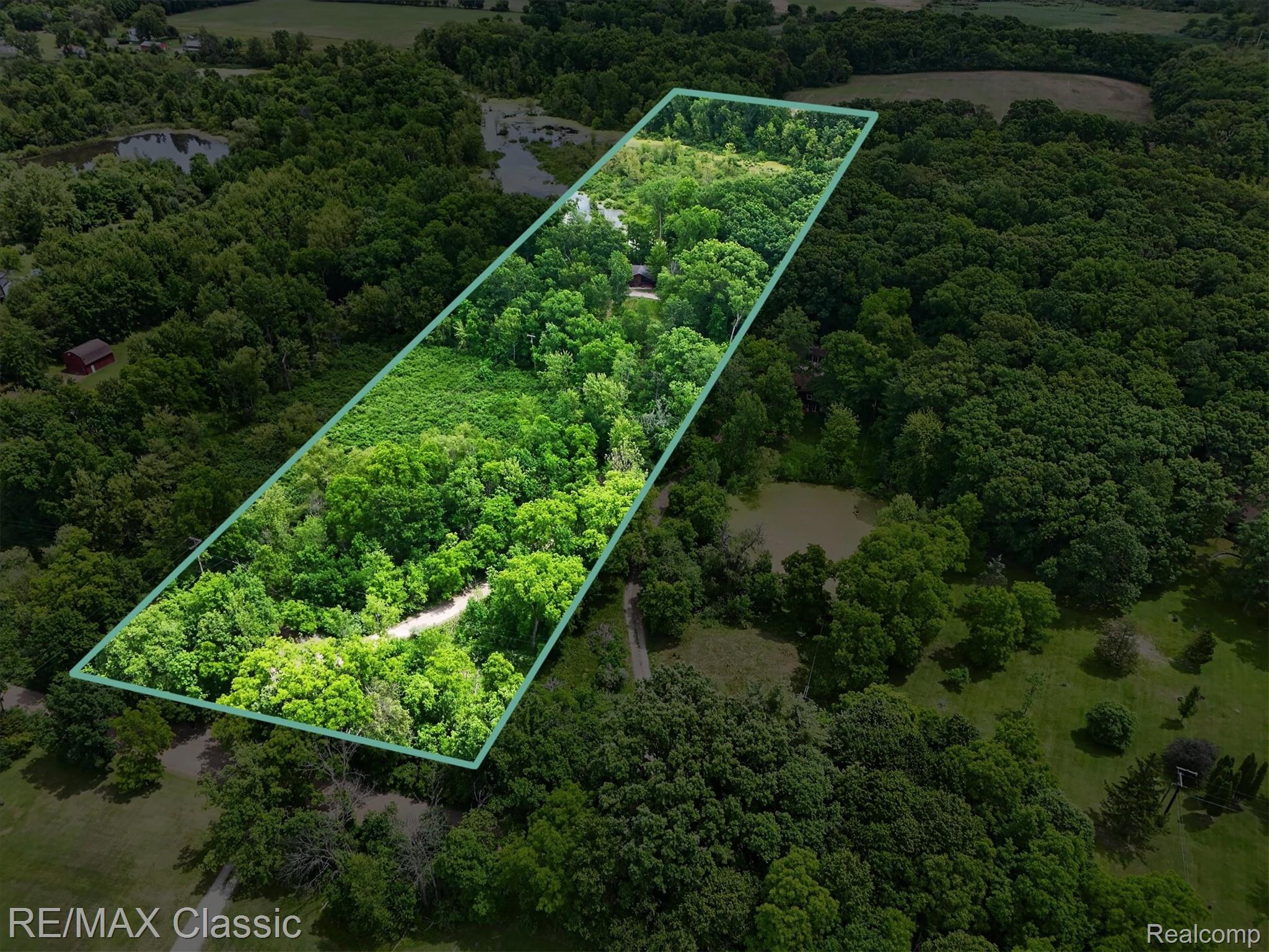 12189 Gage Road Holly, MI 48442 - Photo 66 of 69 Expansive wooded lot featuring a winding unpaved path and lush foliage