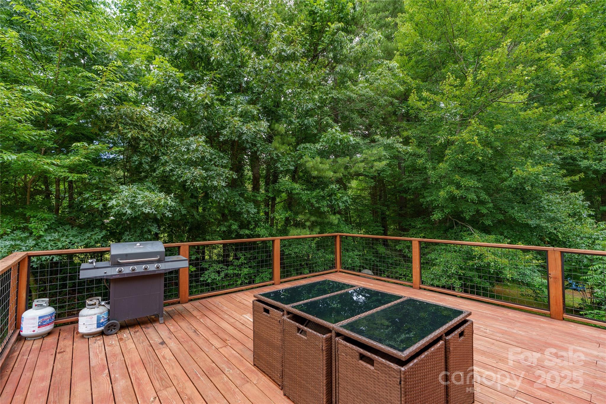 204 Terrys Gap Loop Road Fletcher, NC 28732 - Photo 24 of 30