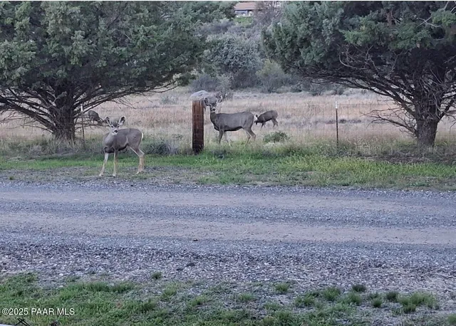 $279,900 | 18212 Pioneer Avenue, Peeples Valley, AZ 86332