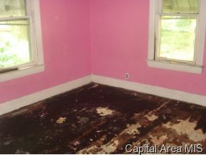 845 North 8th Street Springfield, IL 62702 - Photo 5 of 12