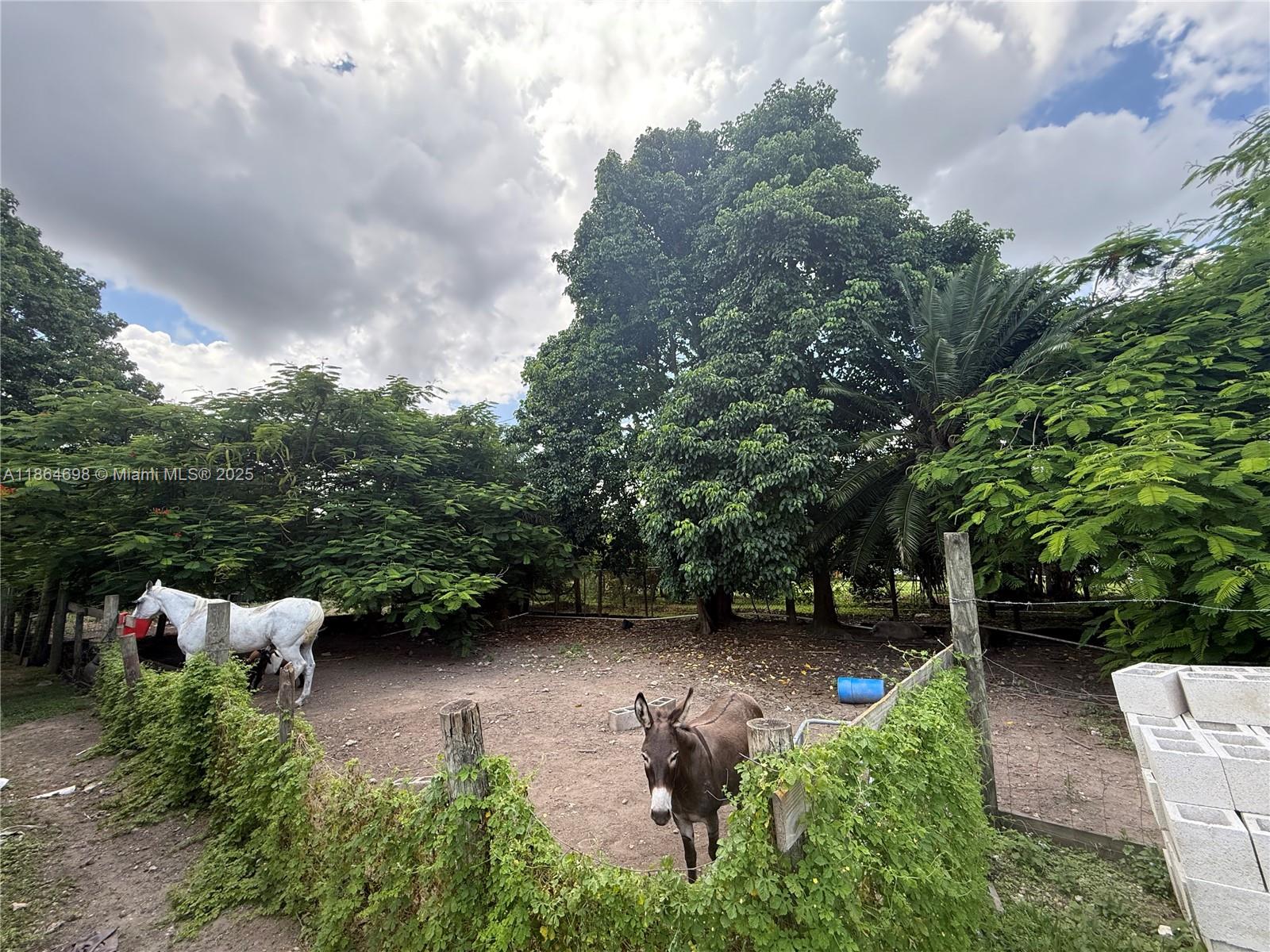 15765 Southwest 206th Avenue Miami, FL 33187 - Photo 18 of 57 a view of yard with green space