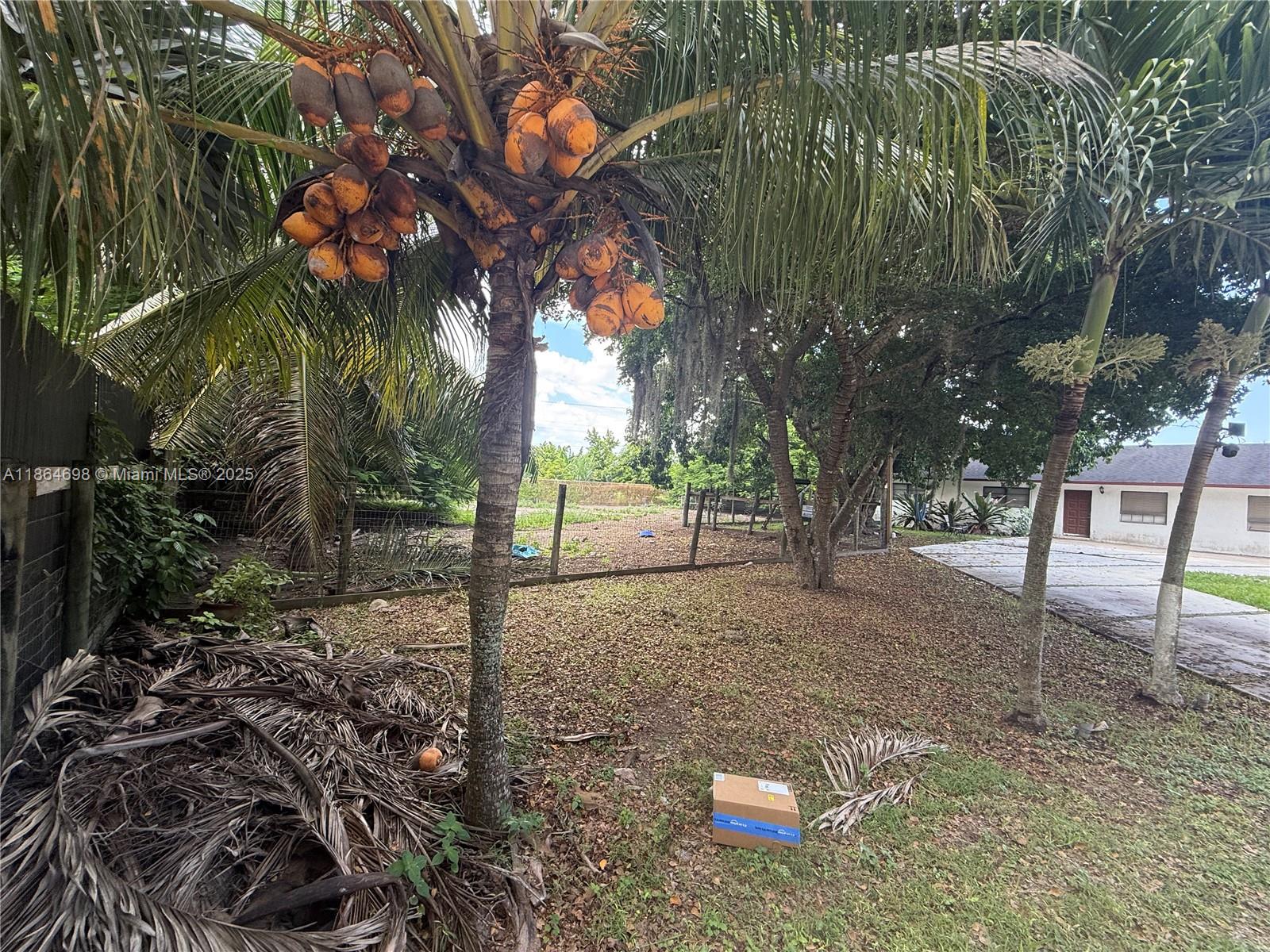15765 Southwest 206th Avenue Miami, FL 33187 - Photo 7 of 57 a backyard of a house with lots of green space