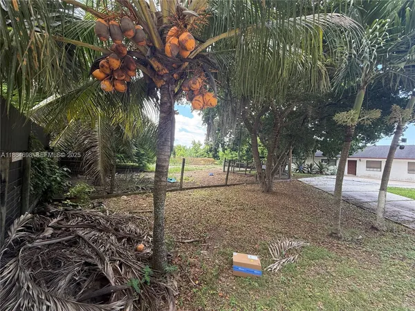 a view of a road with plants and trees