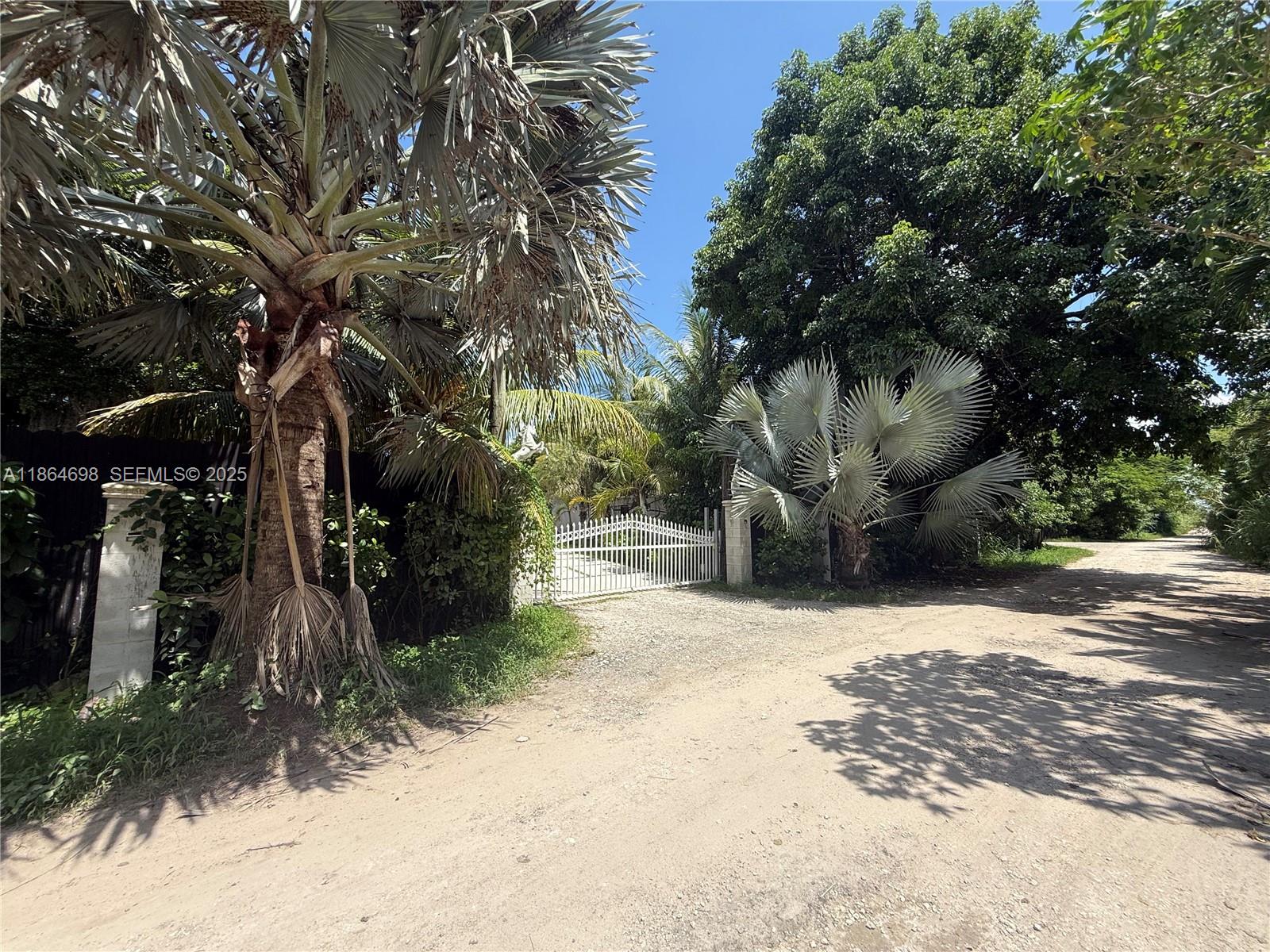 15765 Southwest 206th Avenue Miami, FL 33187 - Photo 8 of 57 a view of a road with plants and trees