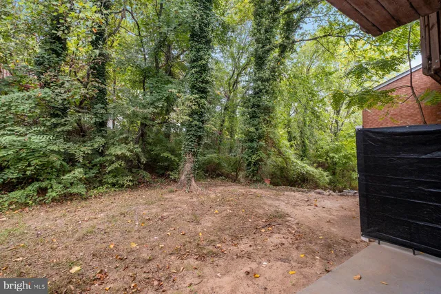 a view of a yard with plants and a bench