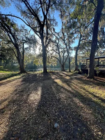 a view of dirt yard with a large tree