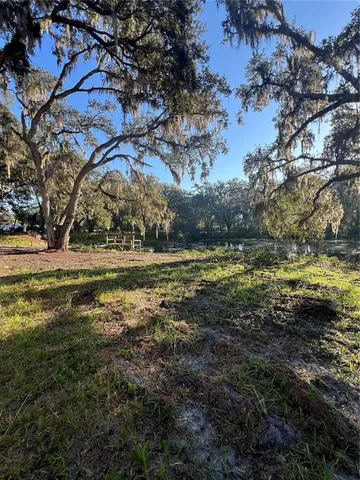 a view of a yard with a tree