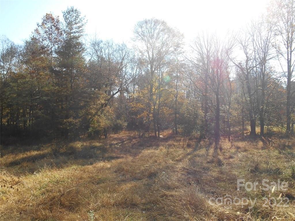 6420 St Peters Church Road Conover, NC 28613 - Photo 16 of 23 Gallery Image 16