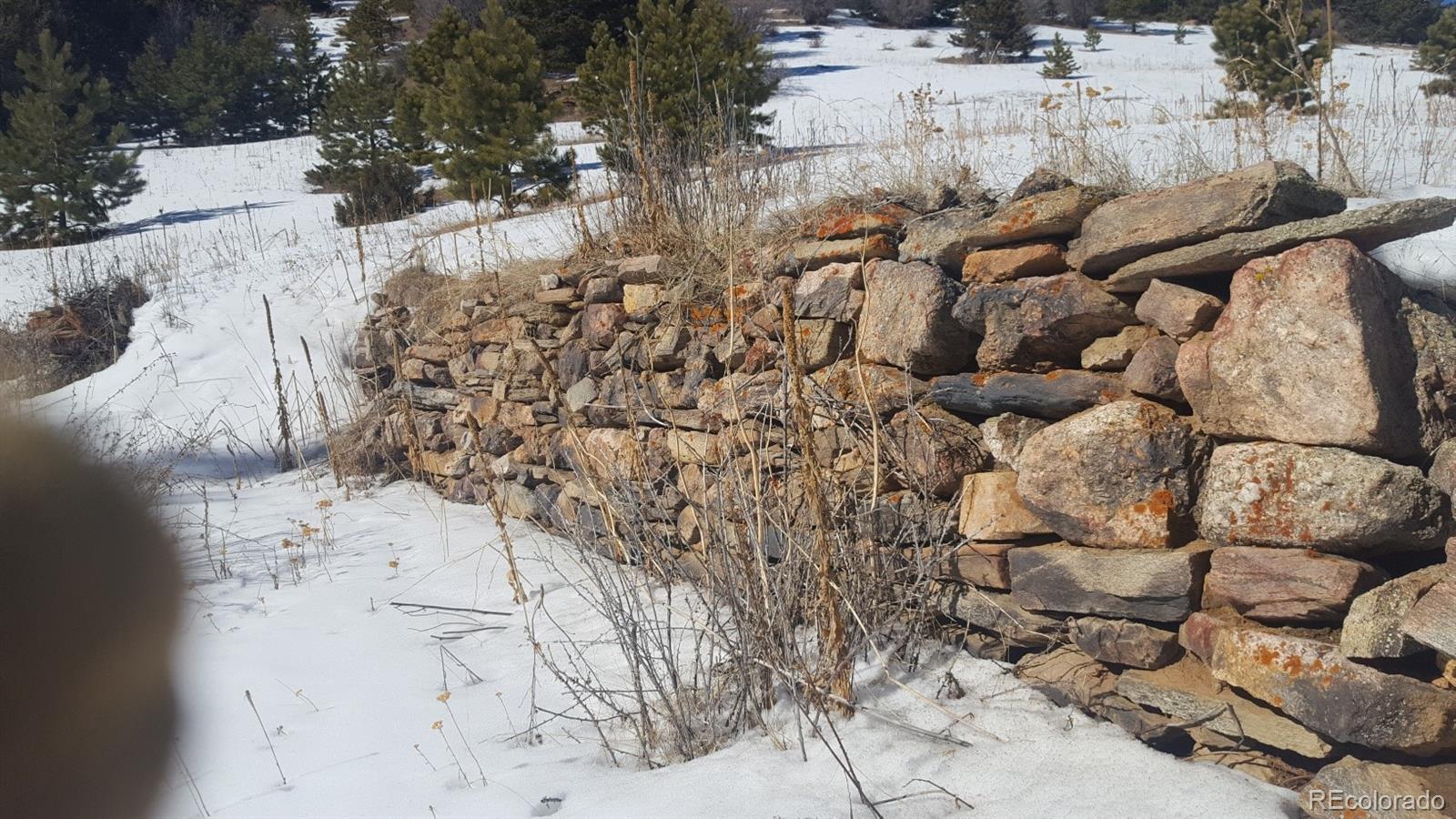 7677 Drew Hill Road Golden, CO 80403 - Photo 12 of 22 Gallery Image 12
