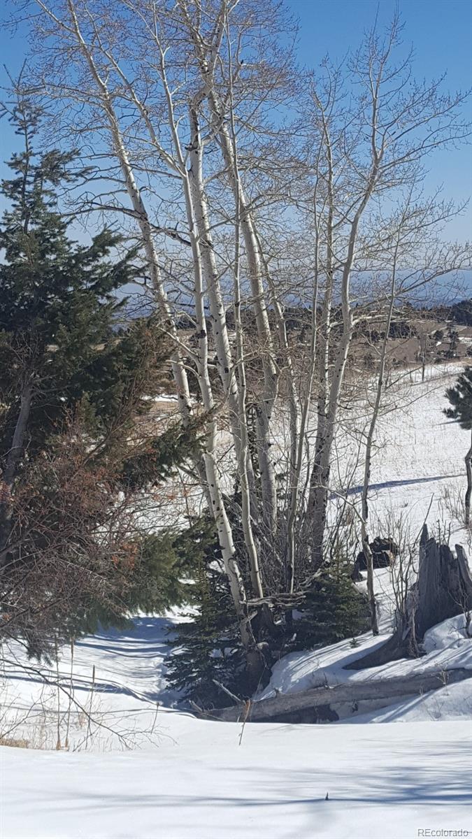 7677 Drew Hill Road Golden, CO 80403 - Photo 14 of 22 Gallery Image 14