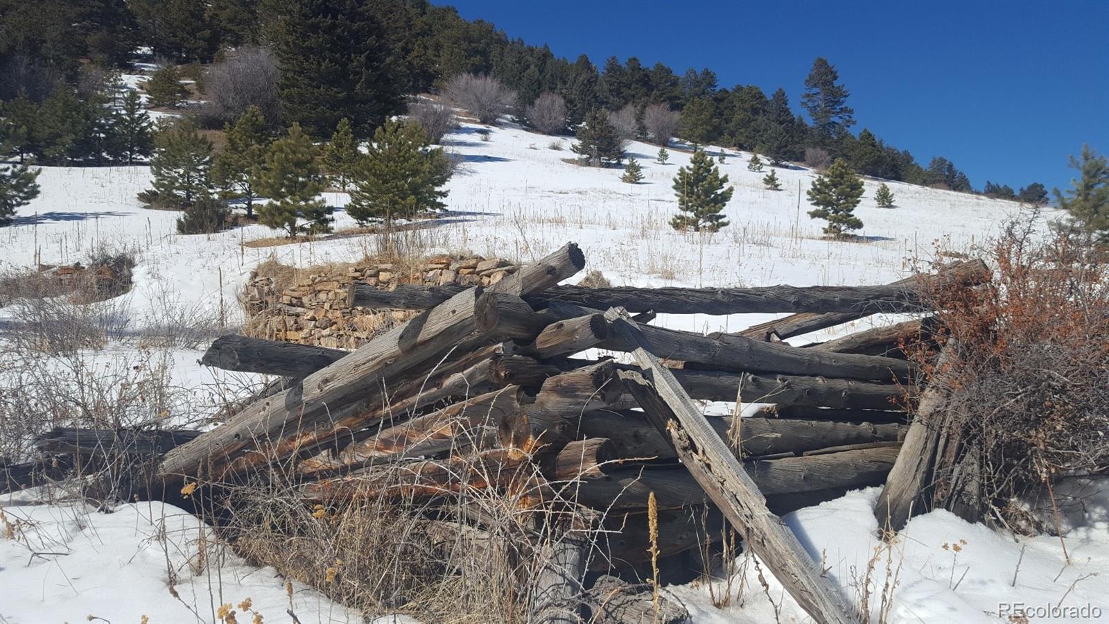 7677 Drew Hill Road Golden, CO 80403 - Photo 15 of 22 Gallery Image 15