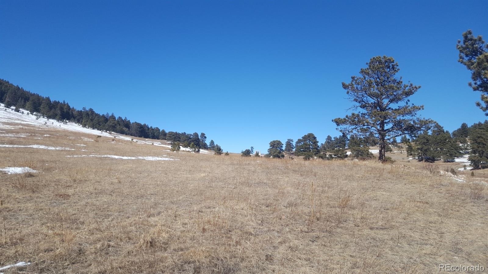 7677 Drew Hill Road Golden, CO 80403 - Photo 18 of 22 Gallery Image 18