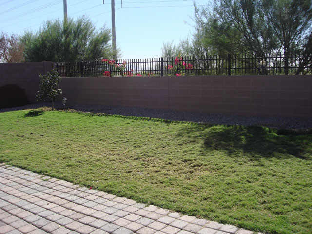 8537 West Riley Road Tolleson, AZ 85353 - Photo 4 of 9 a view of a garden