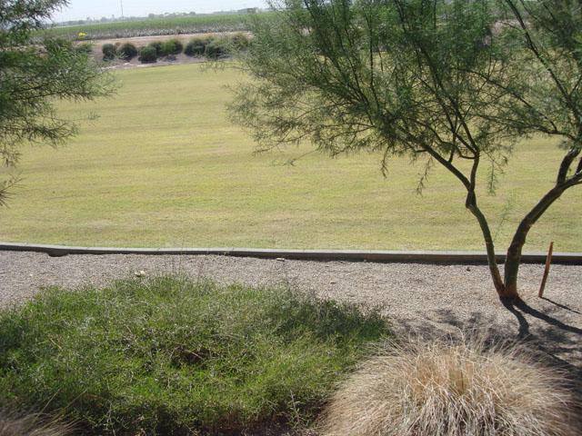 8537 West Riley Road Tolleson, AZ 85353 - Photo 8 of 9 view