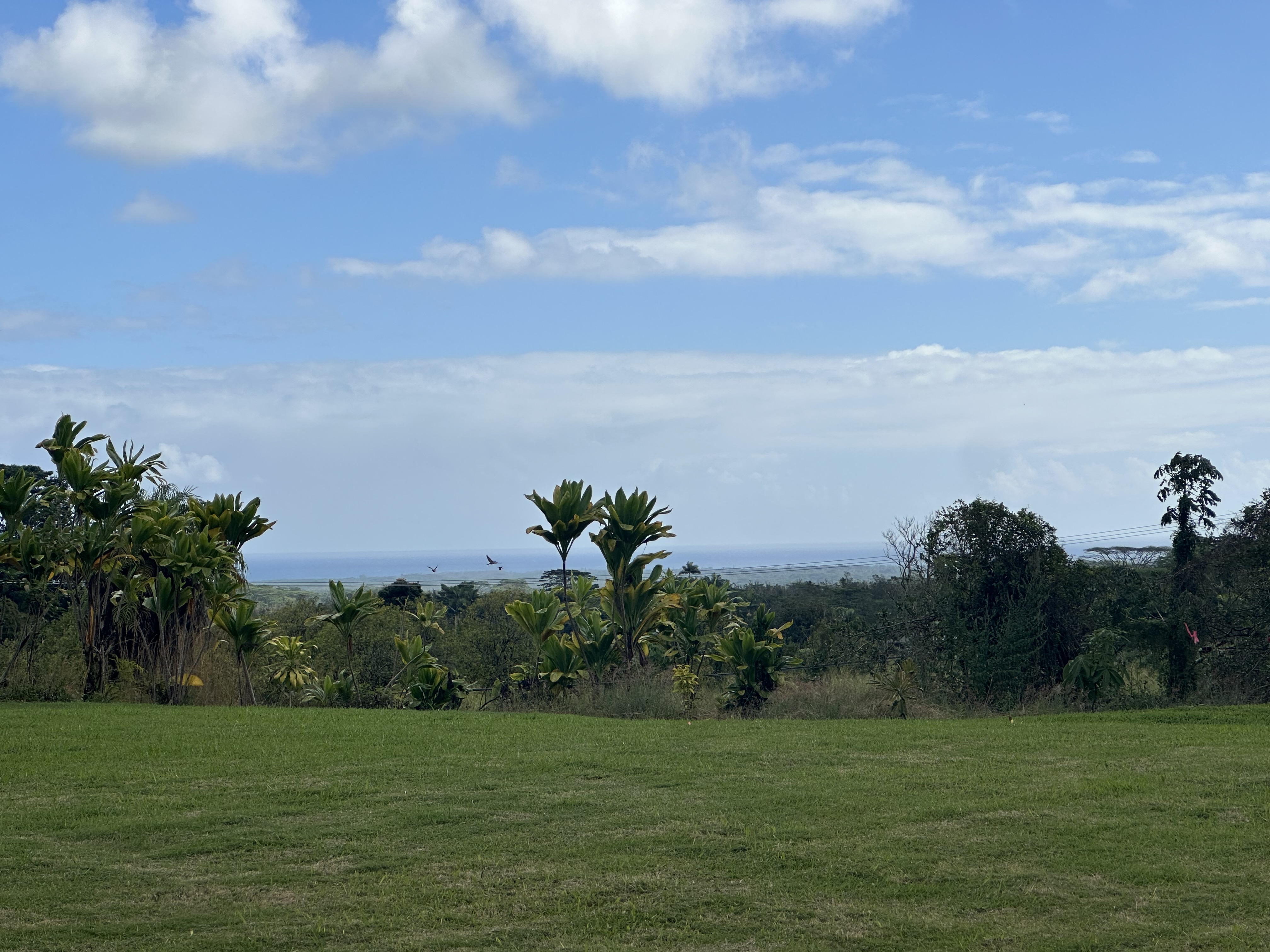 17-303 Pilikino Road Kurtistown, HI 96760 - Photo 3 of 7 a view of a lake