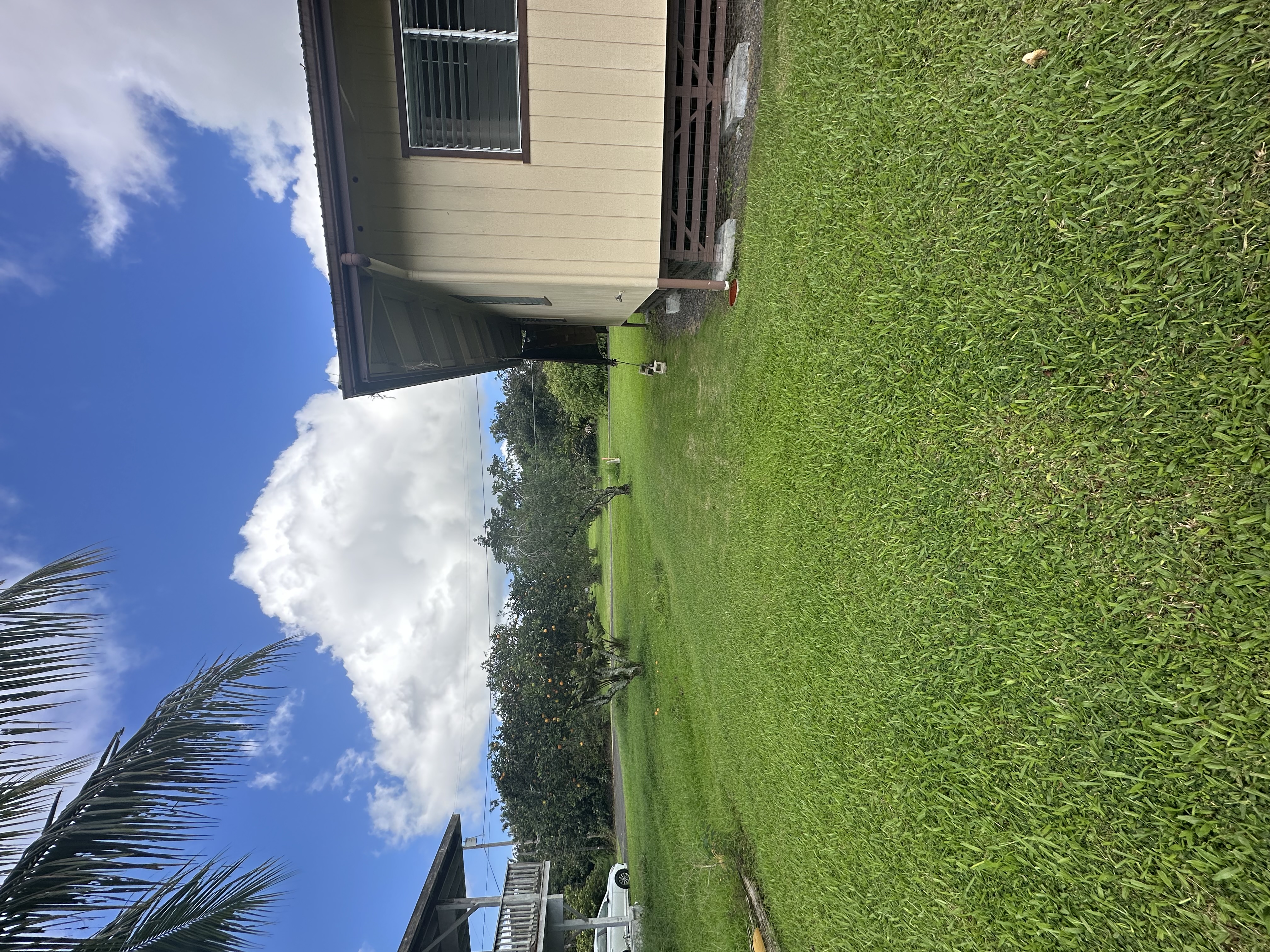 17-303 Pilikino Road Kurtistown, HI 96760 - Photo 7 of 7 a view of a backyard with plants and a large tree