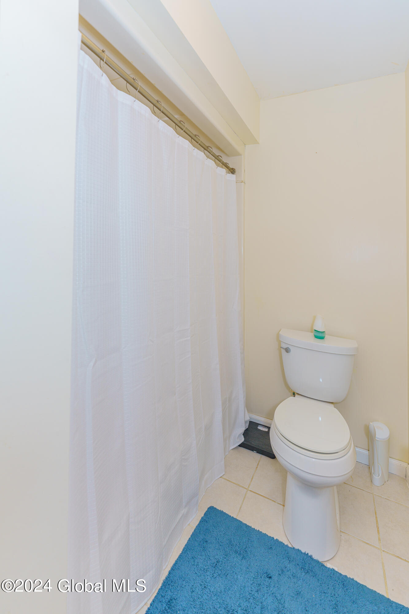 570 Knickerbocker Road Schodack, NY 12156 - Photo 27 of 38 Bathroom 3