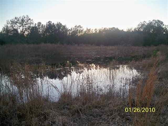 0 Vahalla Ranch Road Perry, FL 32348 - Photo 3 of 3 Gallery Image 3