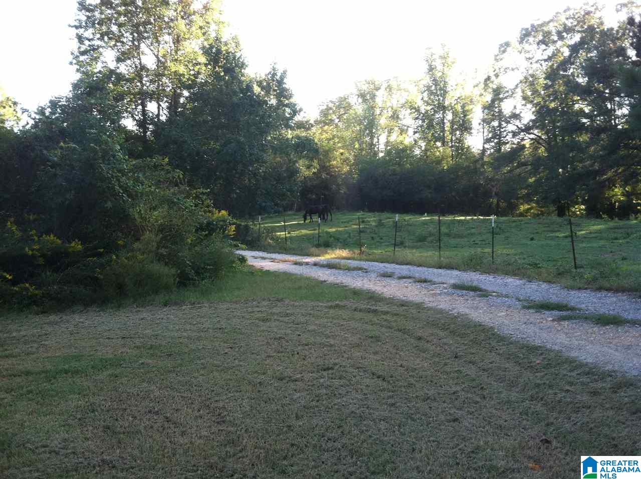 385 Old Stagecoach Road Woodstock, AL 35188 - Photo 19 of 26
