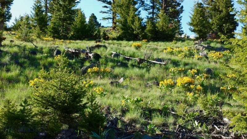 3414 Divide Creek Road Divide, MT 59727 - Photo 54 of 61 Gallery Image 54