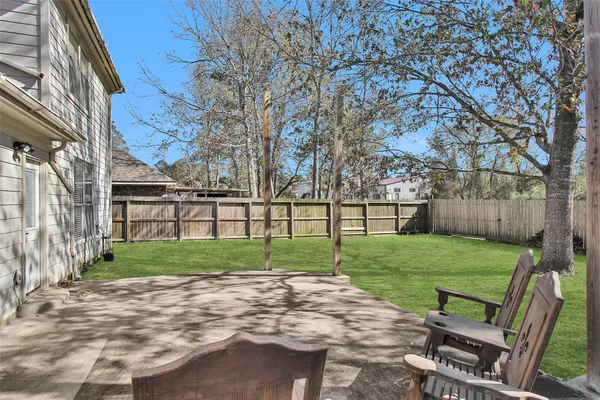 a view of a park with a large tree