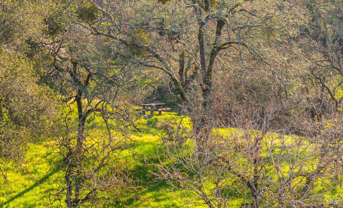 1477 Leslie Road Healdsburg, CA 95448 - Photo 20 of 40