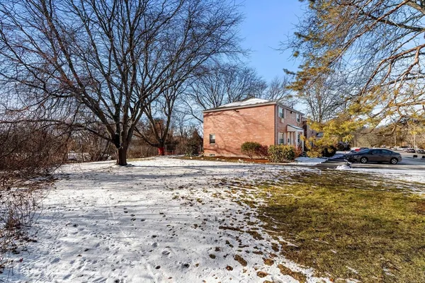 a view of a yard with a tree