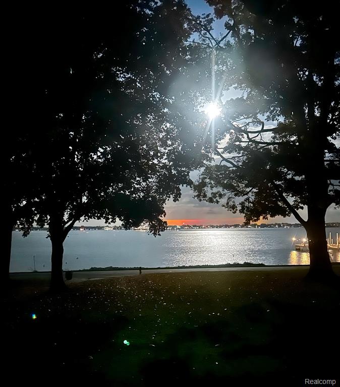 22664 East River Road Grosse Ile, MI 48138 - Photo 7 of 59