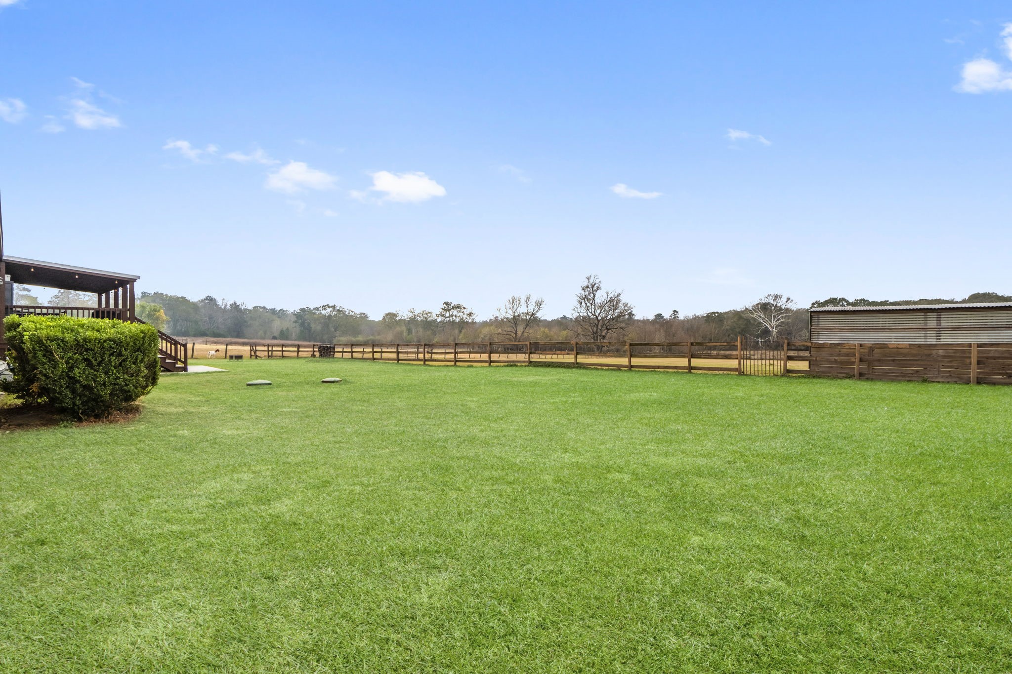 18226 FM 1484 Road Conroe, TX 77303 - Photo 8 of 12