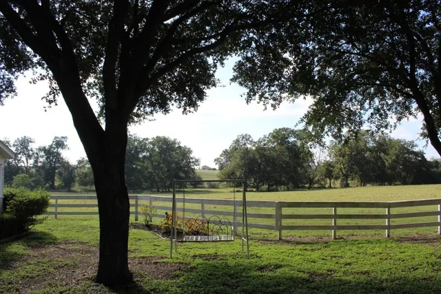 a view of park with a tree