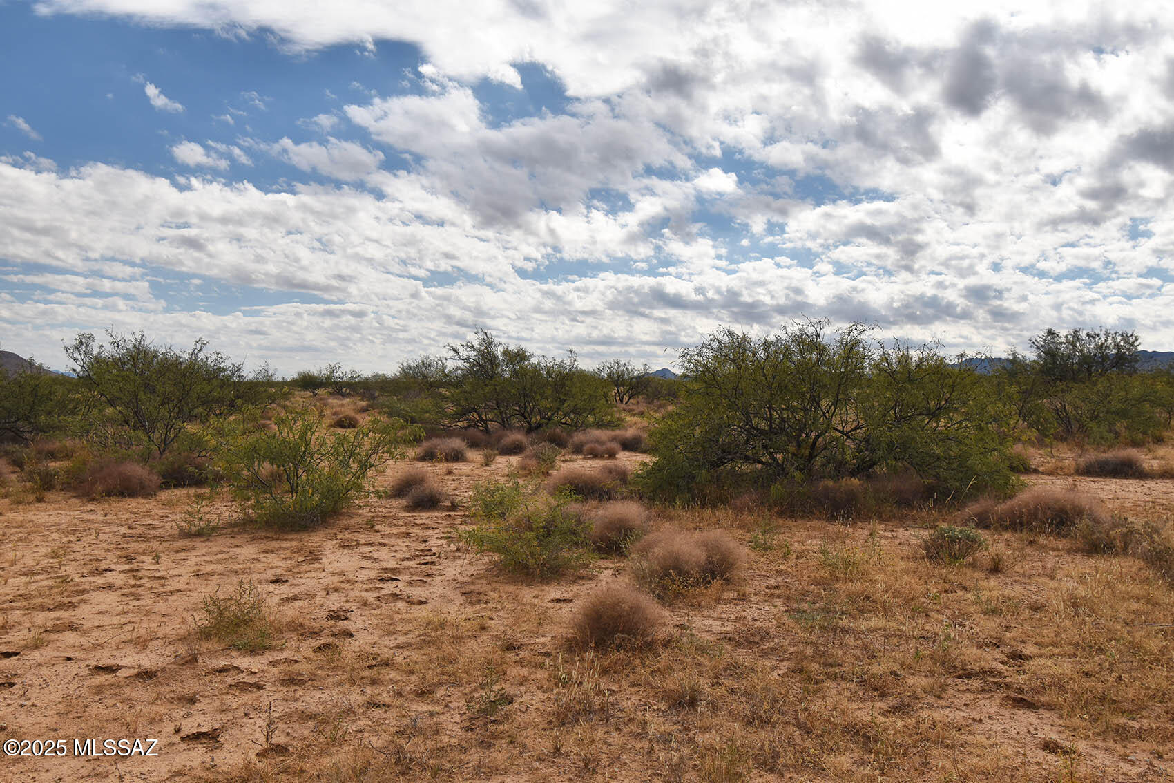 4-lots 4-lots Unnamed Road, Unit 456 Pearce, AZ 85625 - Photo 13 of 20