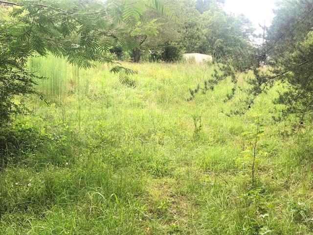 2955 Smith Chapel Road Carbon Hill, AL 35549 - Photo 23 of 25 Gallery Image 23