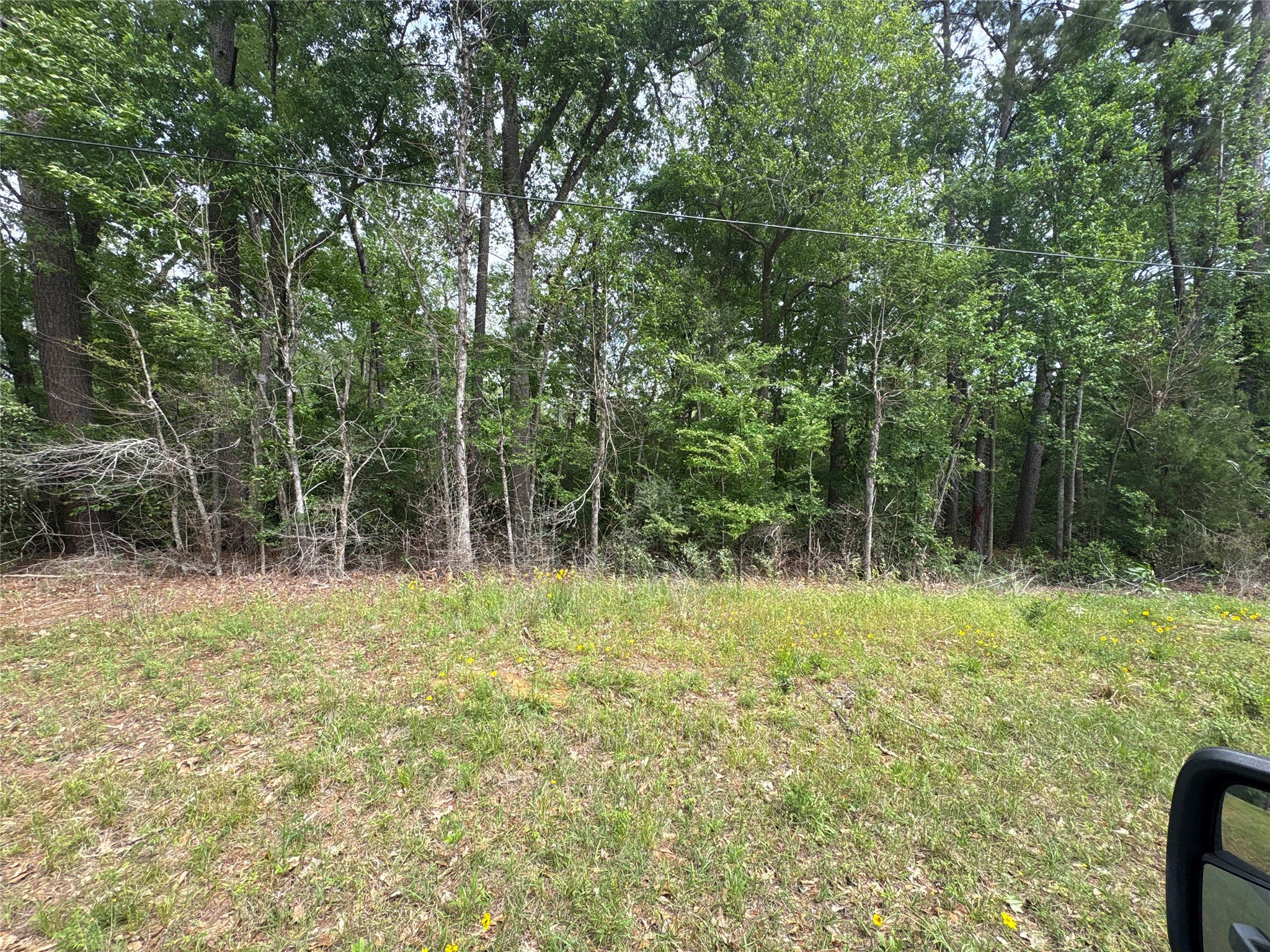 468-a Royal Creek Road Conroe, TX 77303 - Photo 1 of 15 a view of outdoor space with trees all around