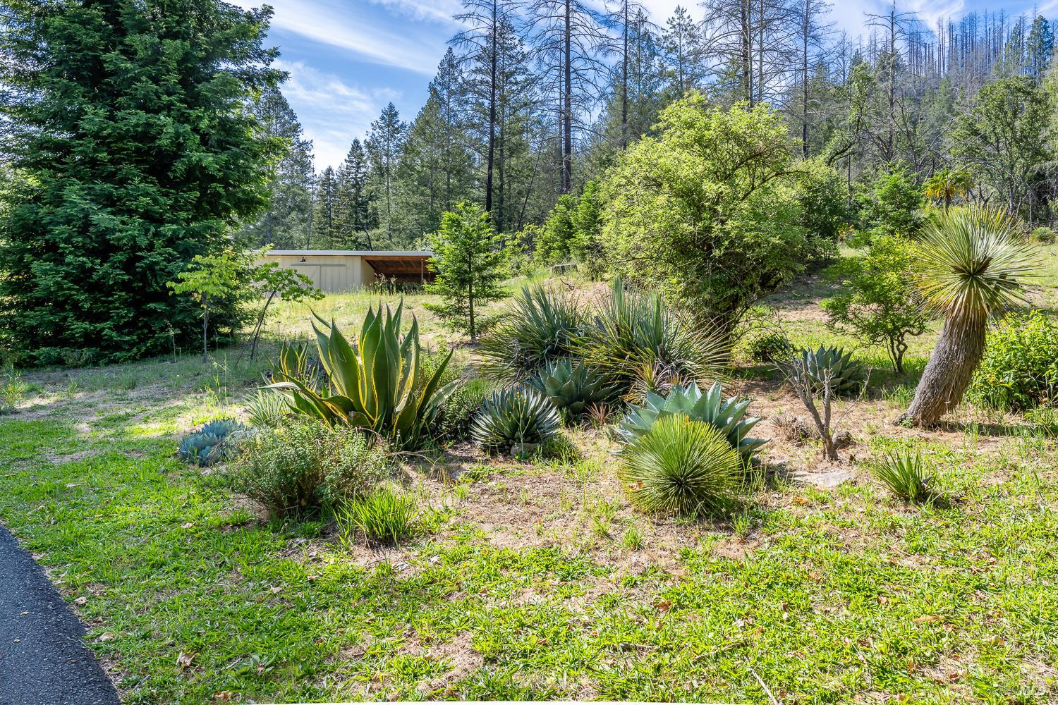 6662 St Helena Road Santa Rosa, CA 95404 - Photo 47 of 51
