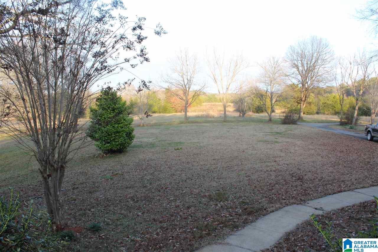 4935 Spring Creek Road Montevallo, AL 35115 - Photo 4 of 36